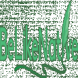 Be Like Native Logo